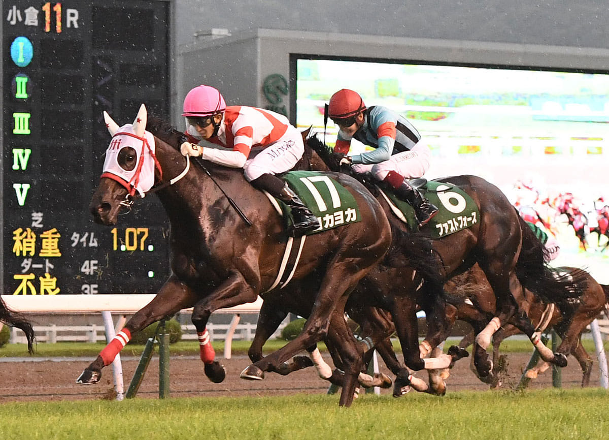 ｊｒａ ヨカヨカが引退 地下馬道で暴れて骨折 繁殖入りへ 21年9月22日 エキサイトニュース