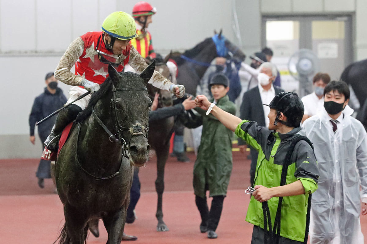 【神戸新聞杯】恵みの雨か嘆きの雨かu2026ステラヴェローチェと 