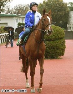 ジャパンカップ 昨年１１着のドイツ馬ナイトフラワー 勝算あるからこその再来日 16年11月22日 エキサイトニュース