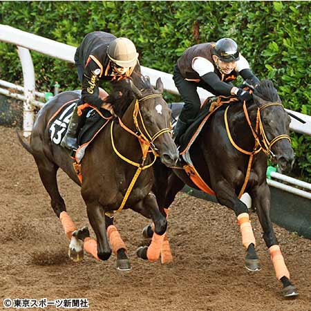 ローズｓ ファンディーナ 抜群の手応えで併入 春先よりも馬のコンディションはいい 2017年9月13日 エキサイトニュース