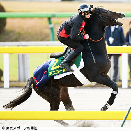 ジャパンカップ 外国馬ギニョール ハナ主張 この馬のスタイルでレースがしたい 17年11月22日 エキサイトニュース