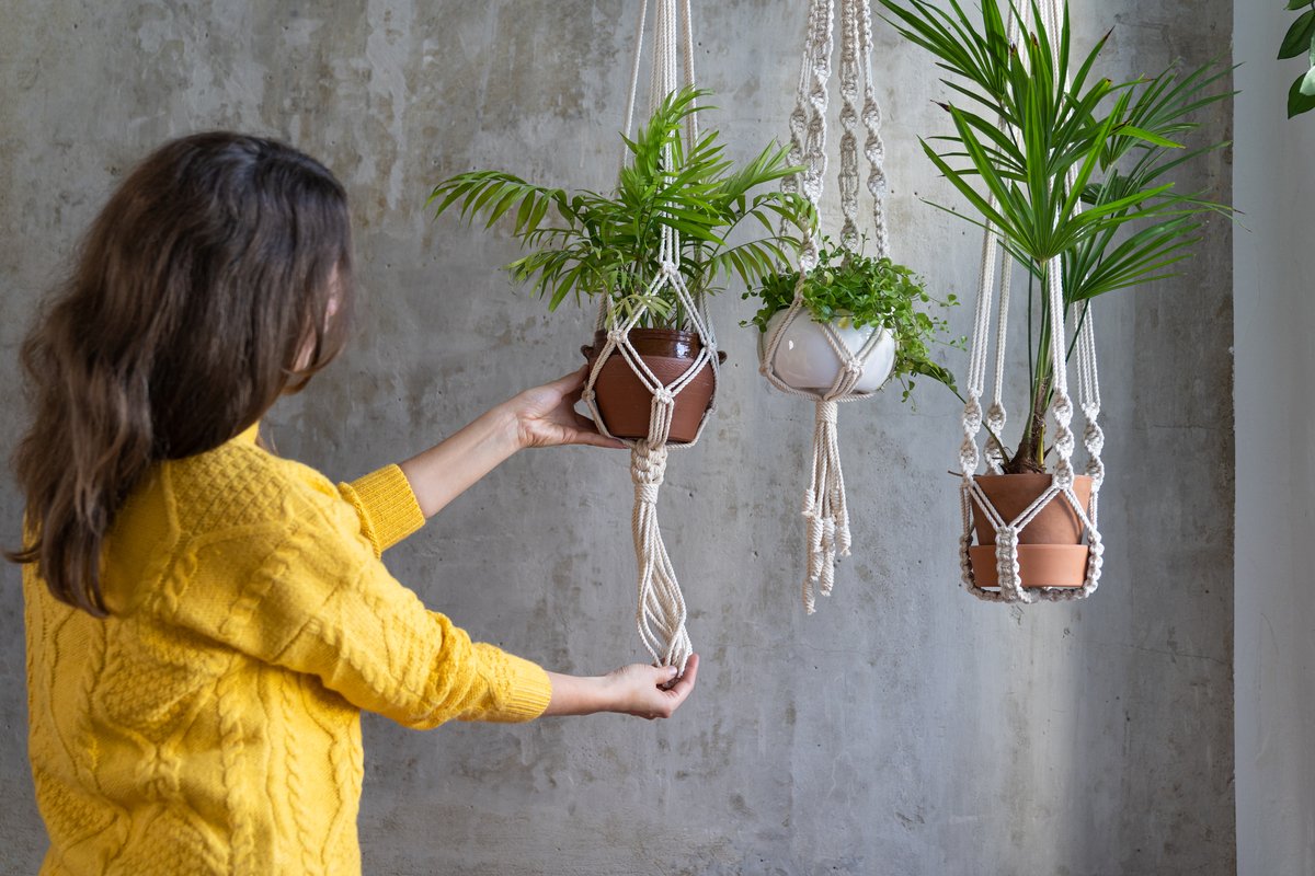 観葉植物は吊るして飾ろう！インテリアがオシャレになるオススメ8選