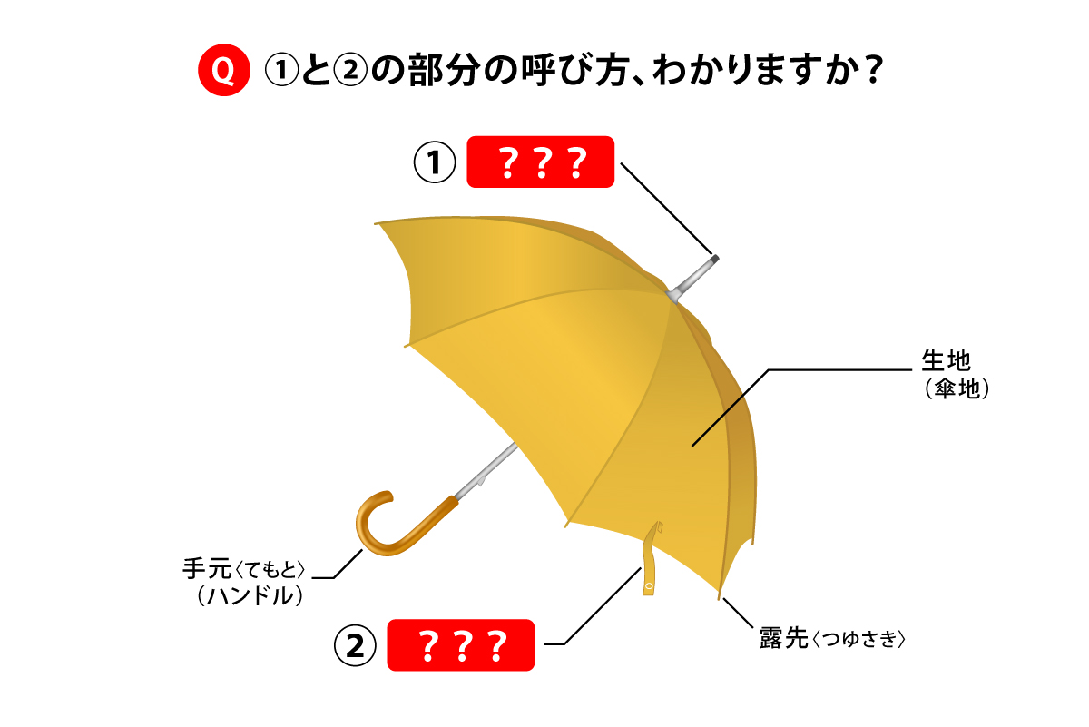 意外と知らない 傘の あの部分 の名前は何という 19年5月26日 エキサイトニュース 2 2