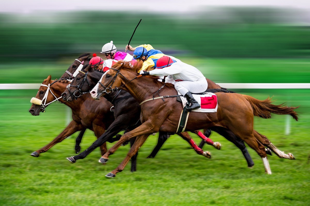 1954年の日本競馬 JapaneseClass.jp