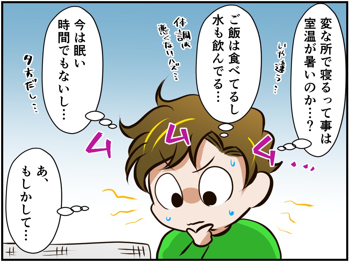 やきもち 新入りの登場に拗ねるチンチラベビーが可愛い チンチライフ86話 21年2月18日 エキサイトニュース