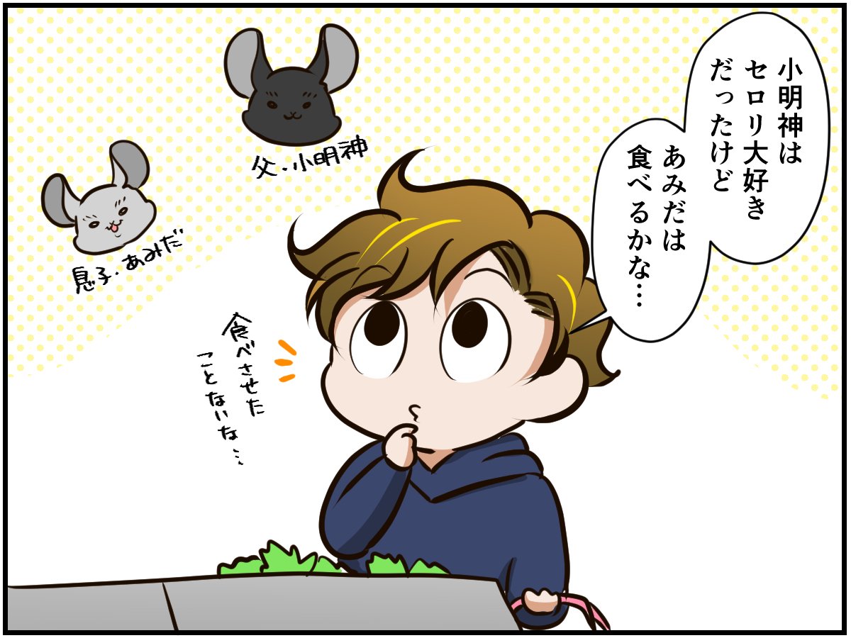 チンチラのパパの好物のセロリ 息子のチンチラのセロリデビューが可愛いすぎた チンチライフ話 21年3月11日 エキサイトニュース