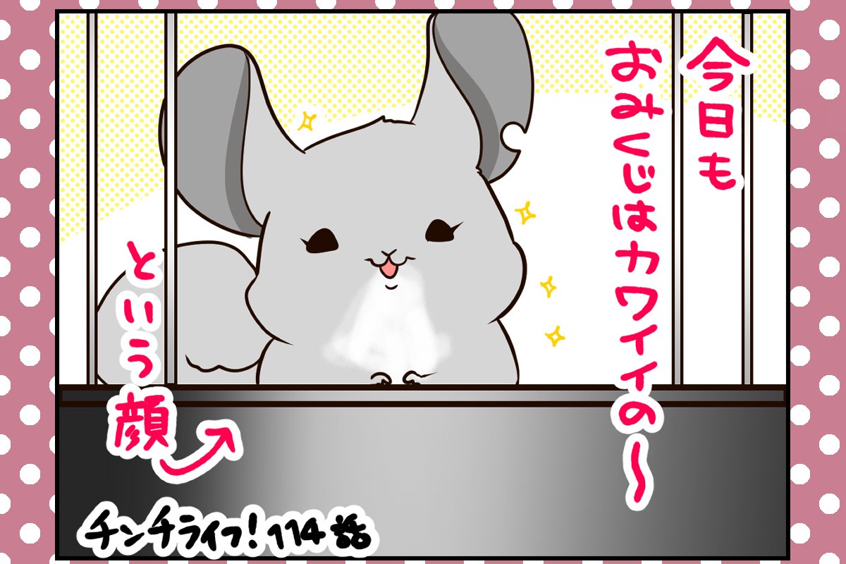 飼い主にワクチン接種の副反応 対するチンチラさんたちの反応が個性的すぎる チンチライフ114話 21年9月16日 エキサイトニュース