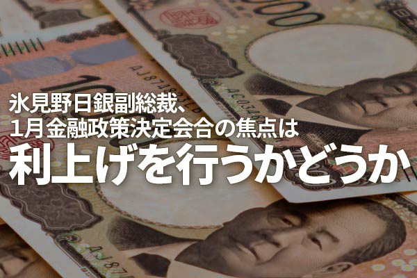 氷見野日銀副総裁、1月金融政策決定会合の焦点は利上げを行うか ...