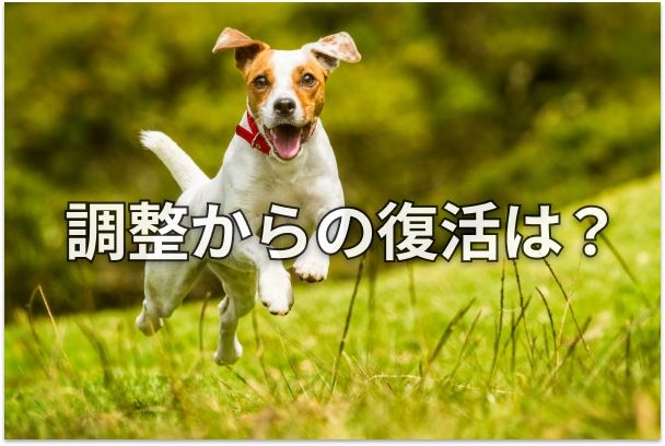 画像が削除されました