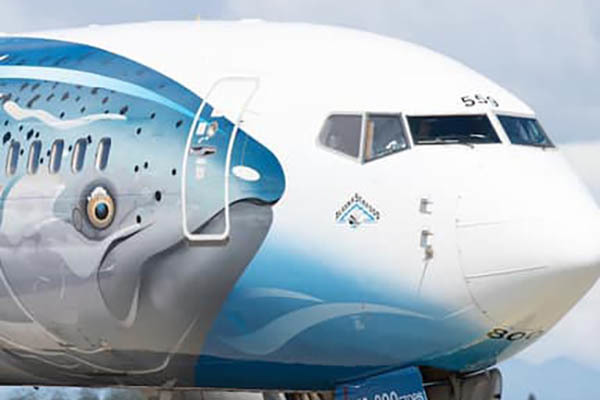 異色！ 「世界で最も複雑な塗装の特別デザイン機？」幕閉じる 全面に