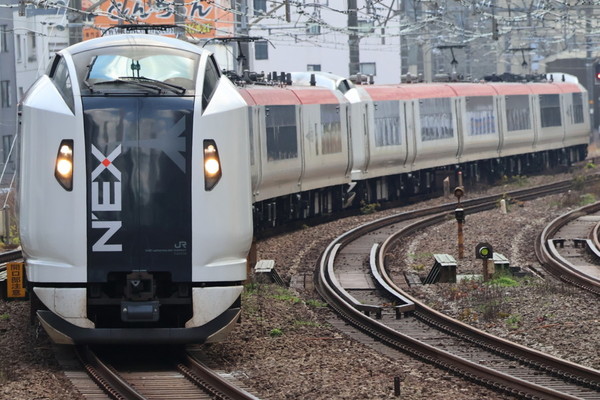 大宮に出現！成田エクスプレス「新塗装車両」巨大な「E259」マークの