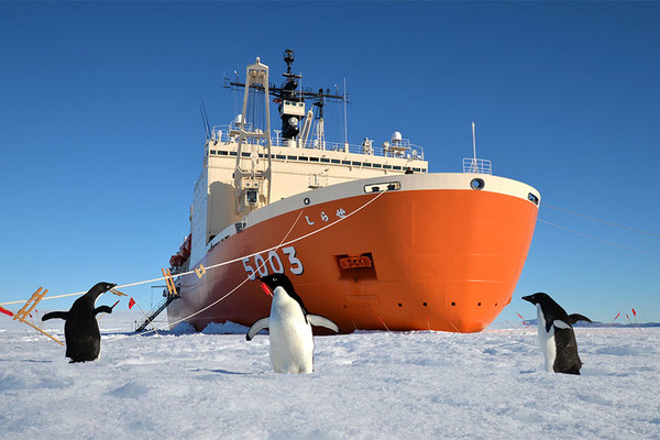 C 南極 南極の石 しらせ 昭和基地 南極観測船ふじ