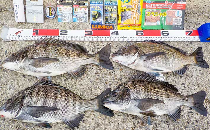 ラブブ 4匹 まとめ買い