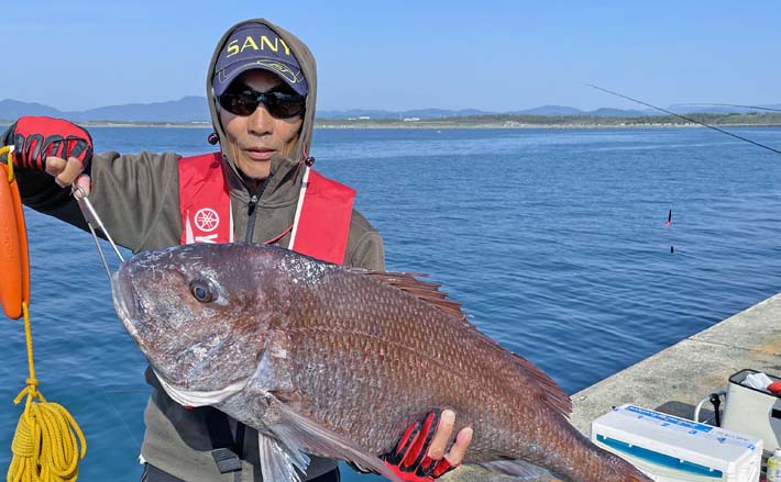 堤防から遠投カゴ釣りで86cm大型マダイ浮上【新潟・直江津】近距離でヒット (2024年6月19日) - エキサイトニュース