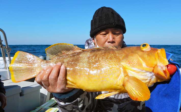 玄界灘の沖五目釣りでクーラー満タン レンコダイ他タカバにアマダイ