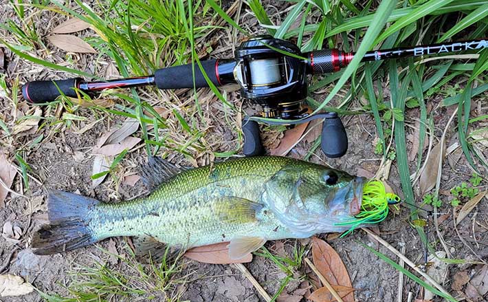 夏のブラックバス釣りを【スピナーベイトで攻略する方法