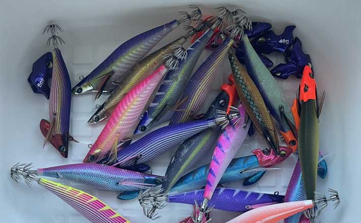 エギングロッド ボックス エギおまけ