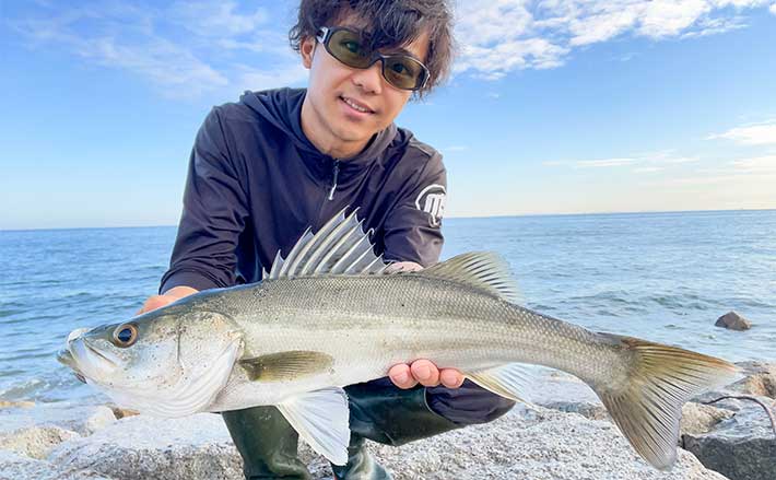 伊勢湾のサーフルアー釣行でシーバス乱舞【三重】ナブラをトップ