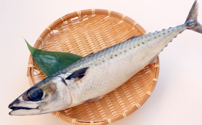 東京湾 トロサバ は秋が旬 正体は マサバ と ゴマサバ どっち 年9月21日 エキサイトニュース