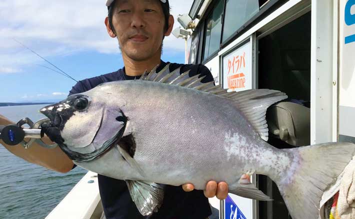福岡】エサでの船釣り最新釣果 ひとつテンヤで3kg『イシダイ』浮上