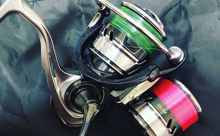 今さら聞けないライトゲームのキホン スピニングリールの番手の違い 21年6月16日 エキサイトニュース