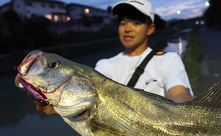 シーバスゲームで60cm頭2匹 意外な イナッコパターン 攻略法とは 21年8月12日 エキサイトニュース