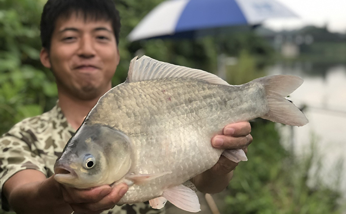 ヘラブナ釣り初心者入門 野釣りで秋の大型を狙おう 第5回 19年9月15日 エキサイトニュース