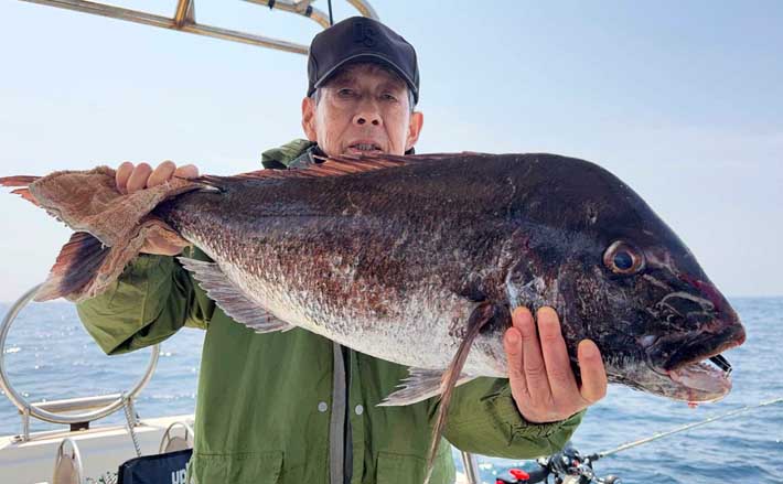 船のエサ釣り釣果速報】玄界灘のエビラバで良型マダイを連打！（福岡