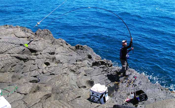 カゴ釣り徹底入門 【仕掛け・タナの取り方・魚種別の釣り方を解説】 (2022年6月28日) - エキサイトニュース