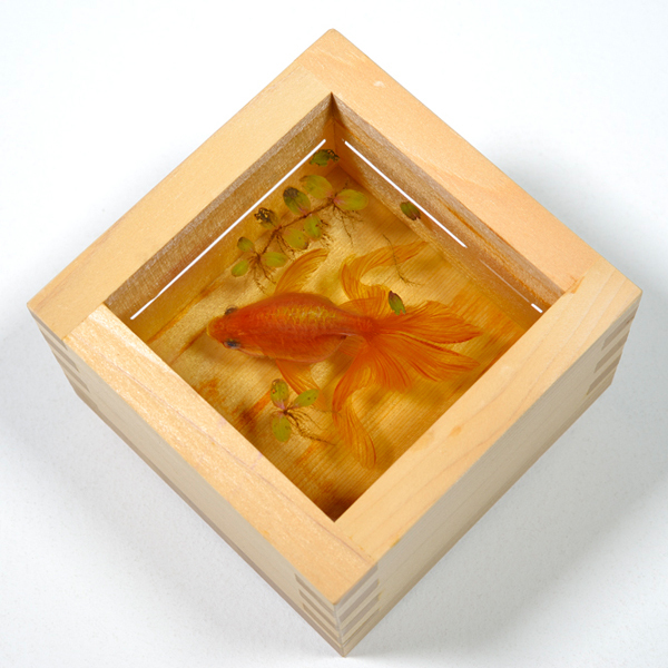 えっこれ実物じゃないの 超リアル 金魚絵師 のアート展がヤバい 公開制作あり 16年5月16日 エキサイトニュース