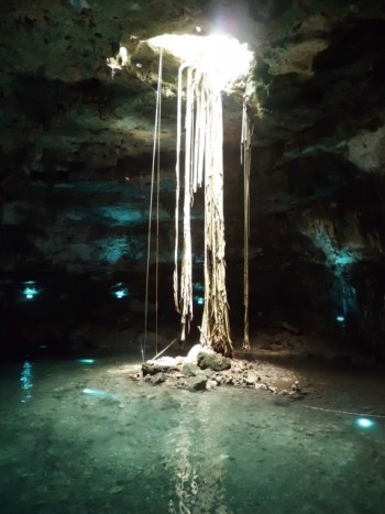 Tdsトリビア 魔宮は洞窟の上に作られた インディ ジョーンズ アドベンチャーの秘密を探る 17年4月28日 エキサイトニュース