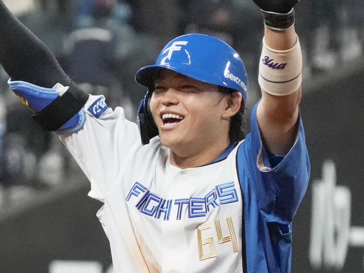高木 豊 バッティンググローブ ローリングス 高木豊 横浜大洋 