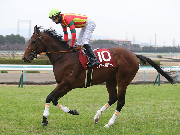 阪急杯は、コースと血統が「ベストに近い」遅咲き6歳馬に期待 (2020年2月28日) - エキサイトニュース