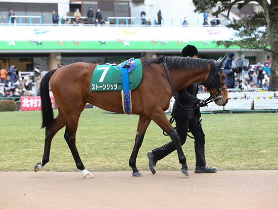 マカヒキに近い ヨーホーレイク 一族悲願のｇｉ奪取は果たせるか 年6月14日 エキサイトニュース