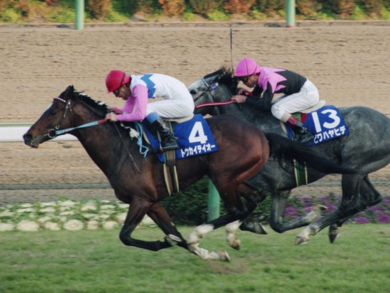 有馬記念で史上最高の復活劇。トウカイテイオーが起こした奇跡に感涙