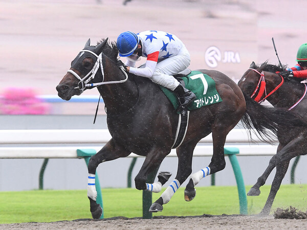 競馬予想】混戦模様のチャンピオンズCで注目すべき、キングマンボと