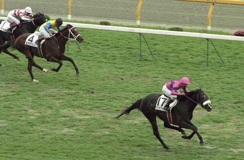 ウマ娘』でも周囲から畏怖されるほどの強さを見せるナリタブライアンが