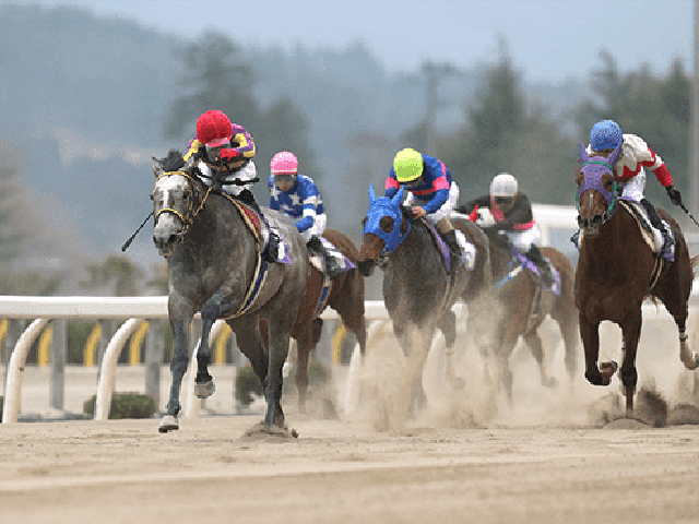 わくわく 地方競馬 情報 第18回ロータスクラウン賞 第50回戸塚記念 2021年9月11日 エキサイトニュース