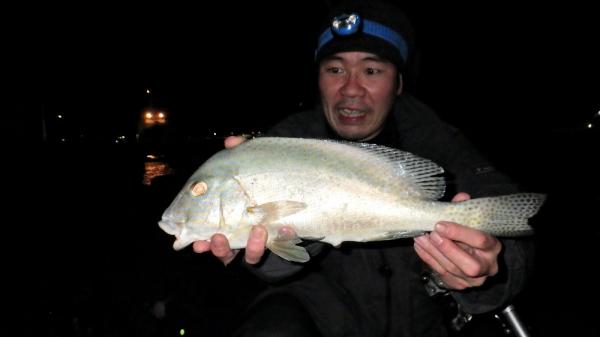 釣れた魚と旨い酒 日本全国釣り行脚 沖縄県石垣島 浜崎マリーナ堤防産コロダイ 2020年3月28日 エキサイトニュース