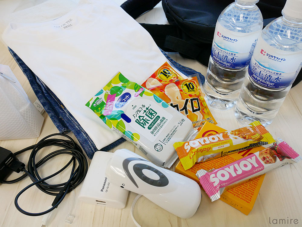 防災グッズリスト 一人暮らし女性が最低限持っておくべきものとは ローリエプレス