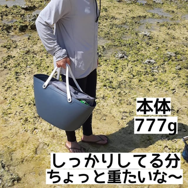 まるでサーファー気分 ダイソーの 超万能トートバッグ が優秀すぎて話題沸騰 ローリエプレス