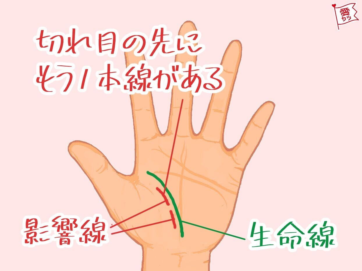 恋愛運急上昇 21年にモテる手相 4選 ローリエプレス