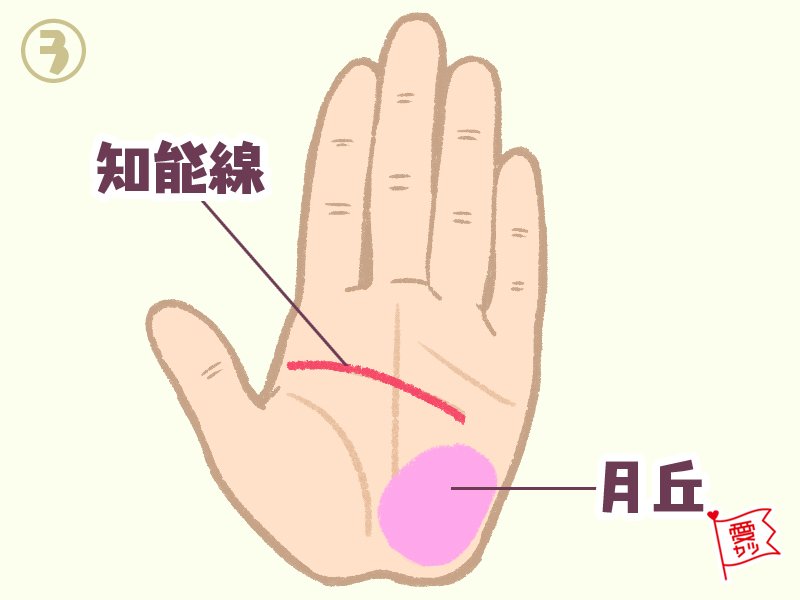 手相 男運の良い女性に現れる手相4選 ローリエプレス