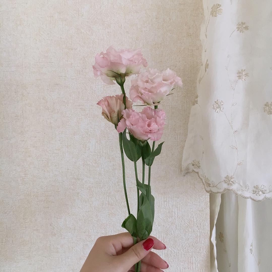 インスタ映え 花の画像107点｜完全無料画像検索のプリ画像💓byGMO