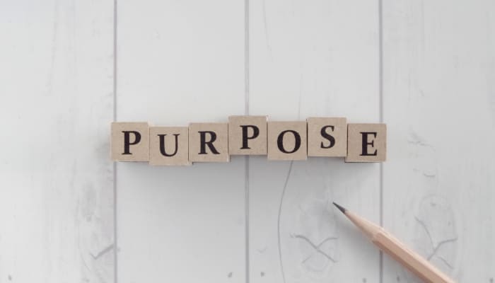 3 Reasons Why a Purpose-Driven Business is Successful | BYOB QNET 