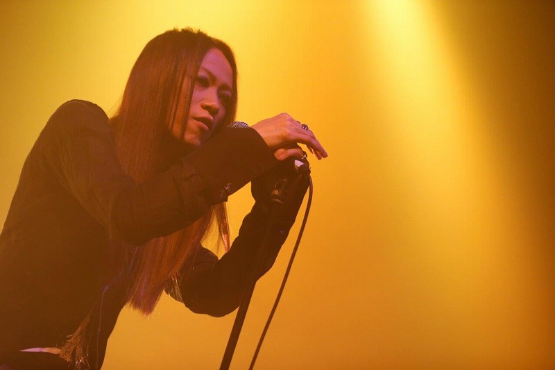 acid androidとTHE NOVEMBERSが共演、ラルクyukihiro楽曲カバーも