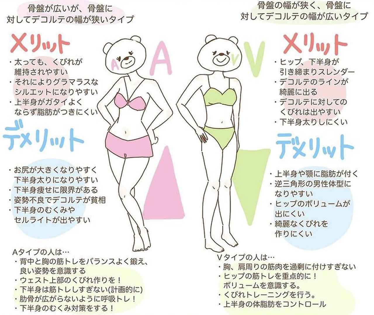 今年こそ痩せたいあなたへ 知って損なし 体型タイプ X型 I型 A型 V型 ローリエプレス