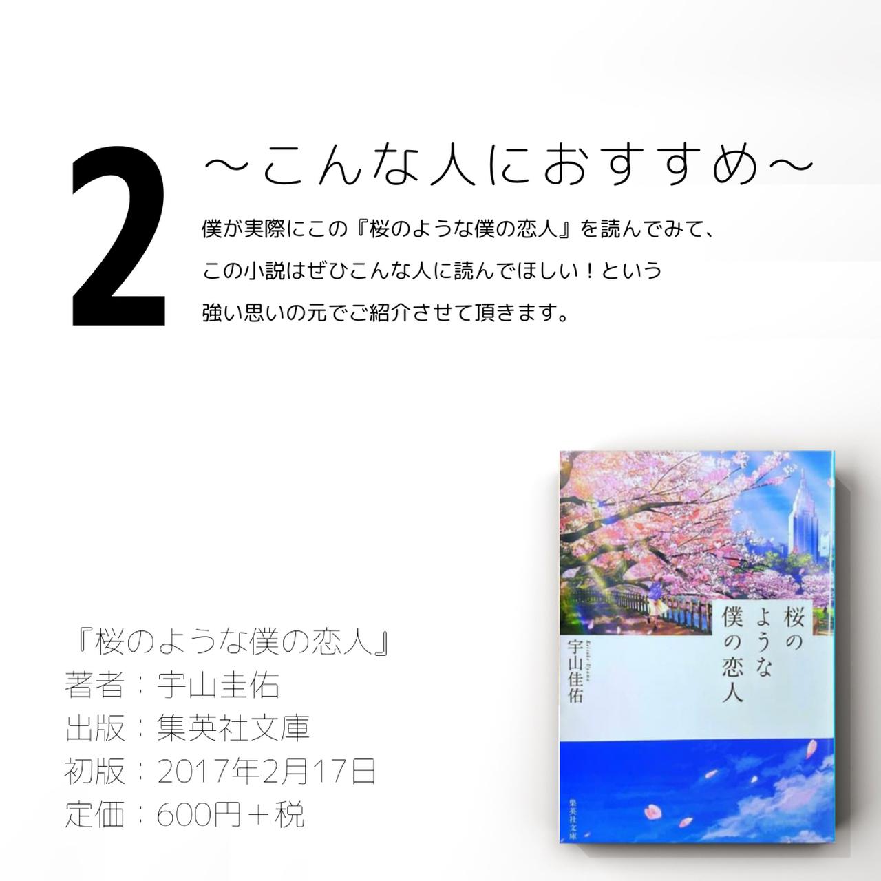 TikTokで話題！泣ける小説として今大注目の【桜のような僕の恋人】を