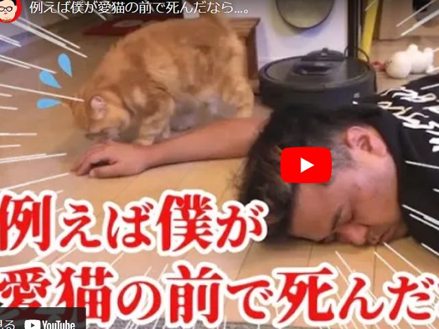 とろサーモン 久保田 ひねくれキャラとは大違い 猫への愛情はホンモノ 22年9月19日 エキサイトニュース