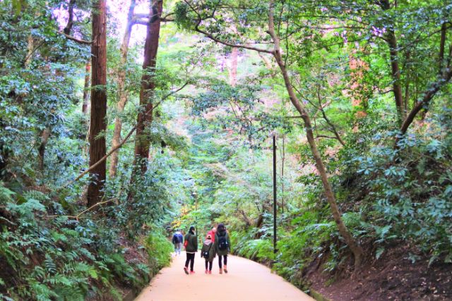 人生の岐路にぜひ訪れたい東国三社で有名な 鹿島神宮 ローリエプレス